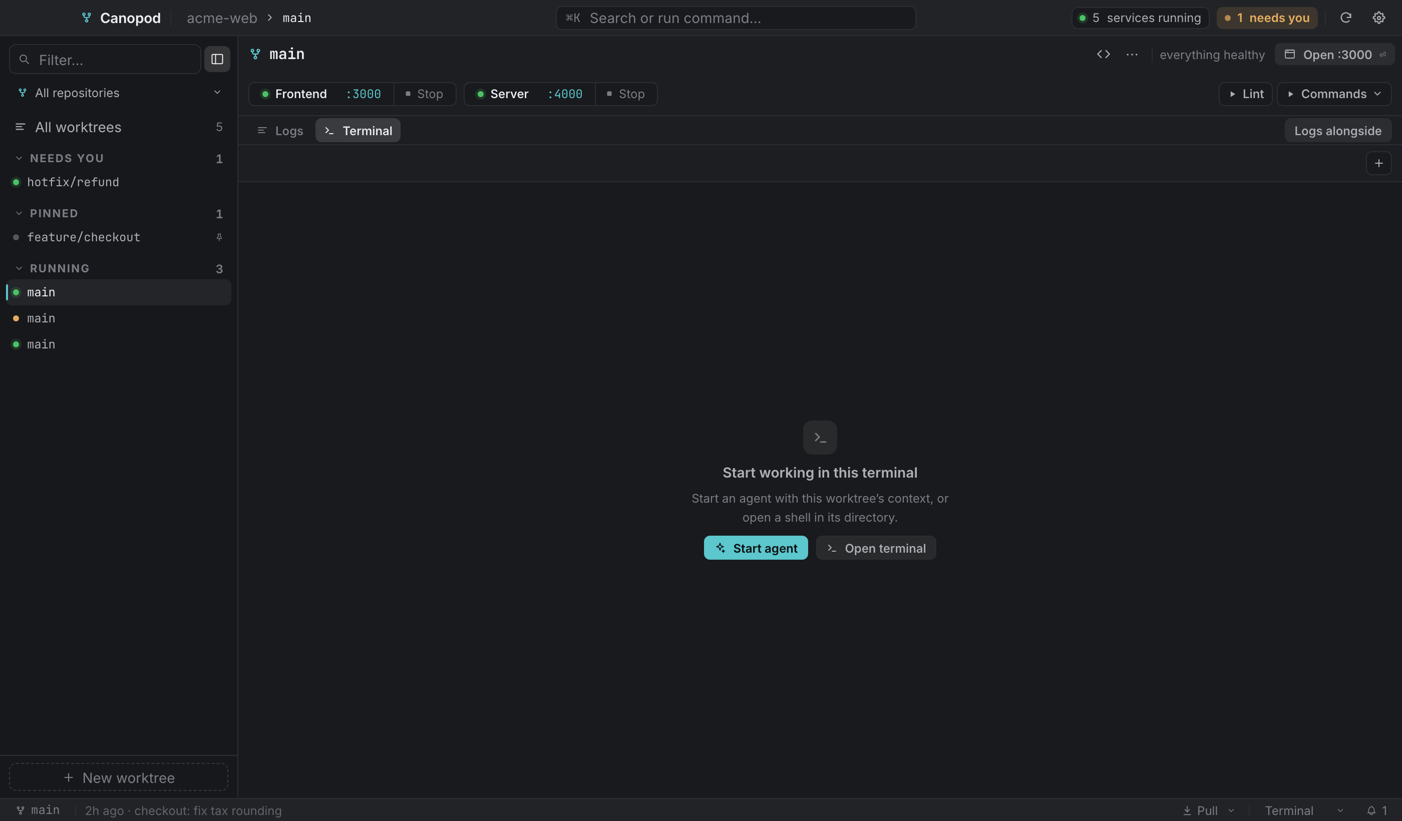 The Terminal pane with no session open.